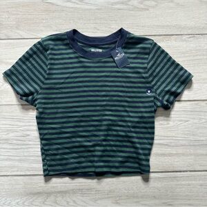 Hollister Navy and Green Striped Tee